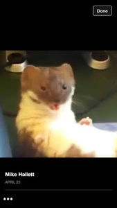 Meet your Posher, Stan